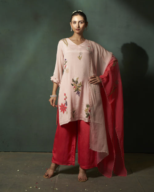 Blush Botanica Embroidered Organza Kurta Set