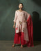 Blush Botanica Embroidered Organza Kurta Set