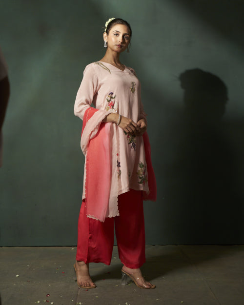 Blush Botanica Embroidered Organza Kurta Set